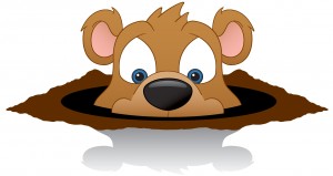 Toms River Tom? HiRes Groundhog1 300x159 Did You See Your Shadow Today?